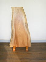 �P���L�ꖇ�̏՗�